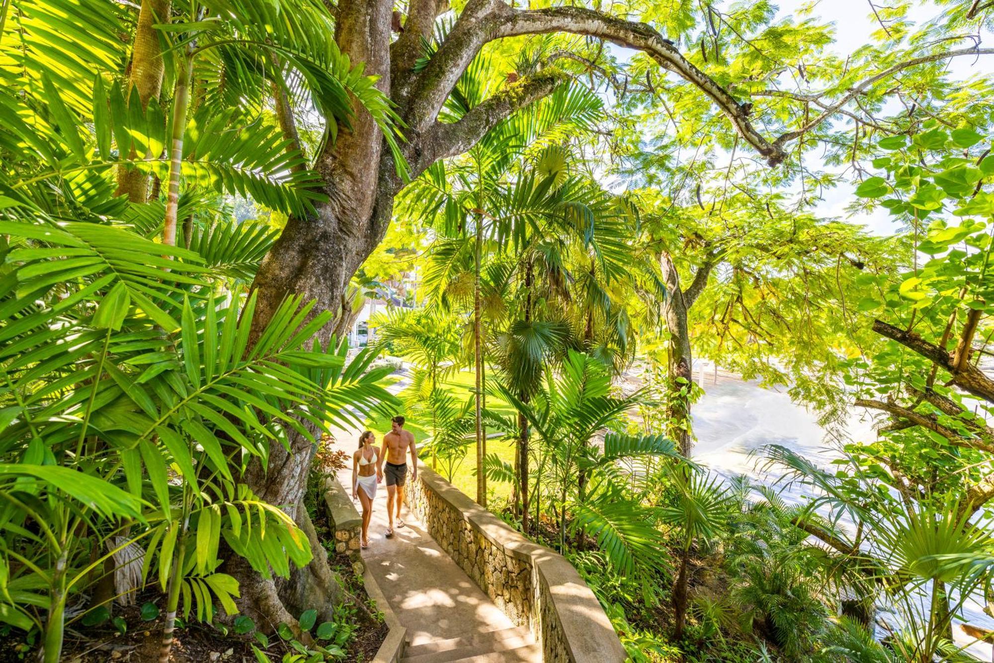 Couples Sans Souci (Adults Only) Hotel Ocho Rios Ngoại thất bức ảnh